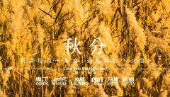 秋分丨晝夜分畫(huà)，漸入秋華